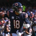 NFL: Carolina Panthers at Chicago Bears