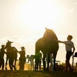 Horse Racing Chicago