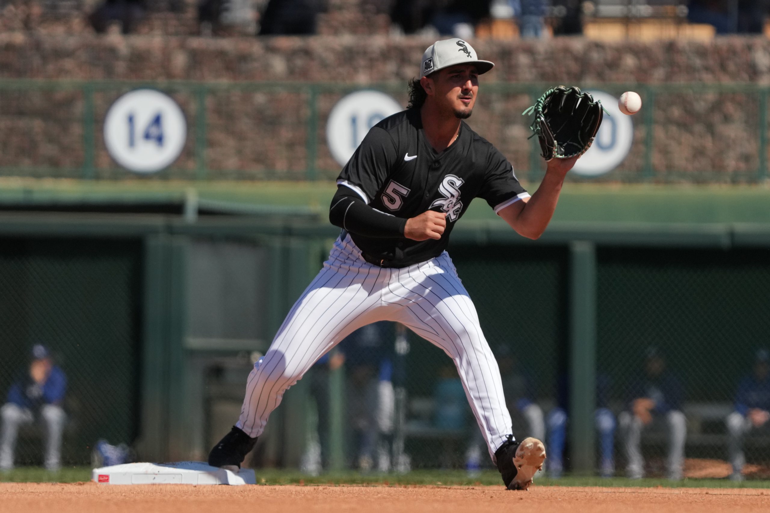 Chicago White Sox offseason acquisition is the latest to get bit by the injury bug